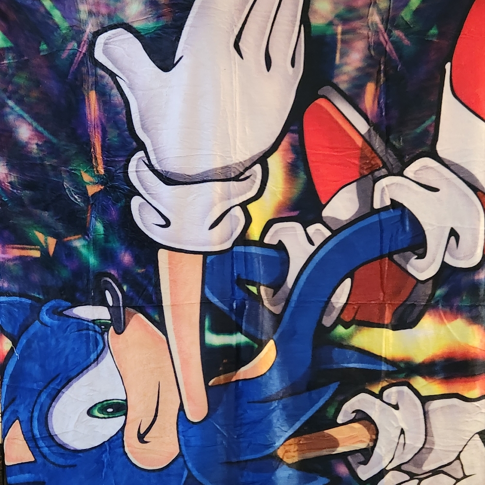 Sonic the hedgehog